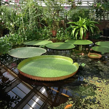 Hut-spot, Comfortabel Houten Tuinhuis *