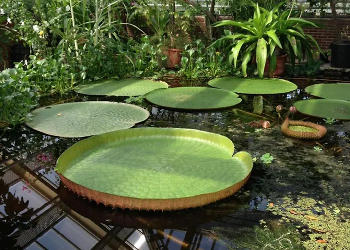 Hut-spot, Comfortabel Houten Tuinhuis *