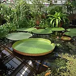 Hut-spot, Comfortabel Houten Tuinhuis *